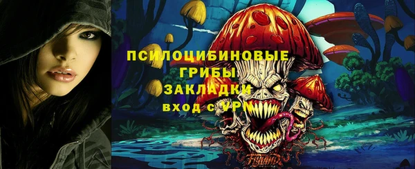 герыч Няндома