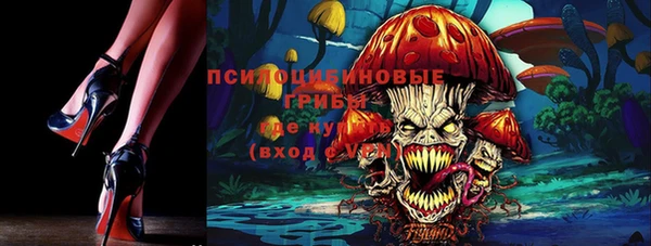 спиды Осташков