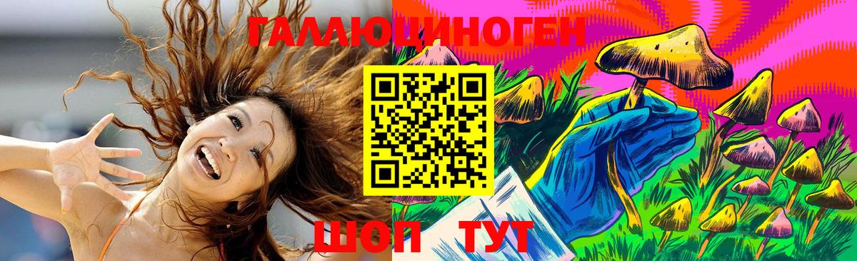 Псилоцибиновые грибы Psilocybe Менделеевск