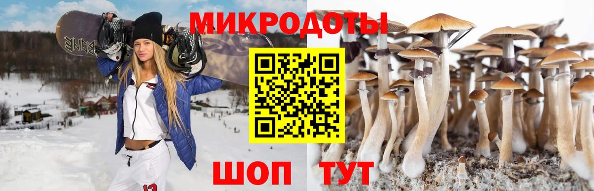 Галлюциногенные грибы мицелий  Галлюциногенные грибы прущие грибы  Менделеевск  Вход с VPN 